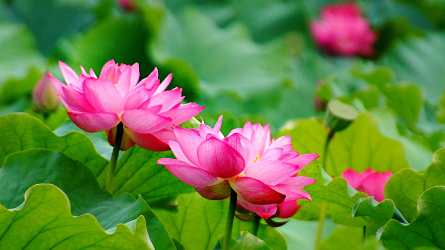 1721612545416353.jpg 130.jpg