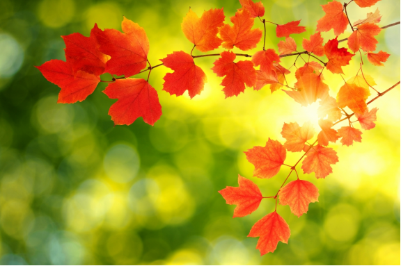 1725930591763364.png image.png