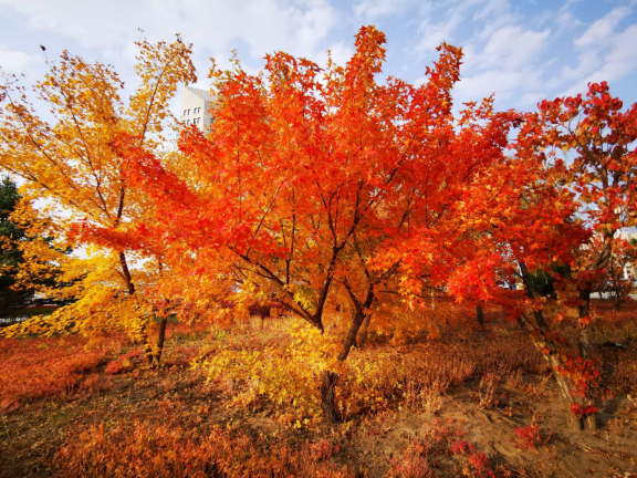 1725930703814457.png image.png