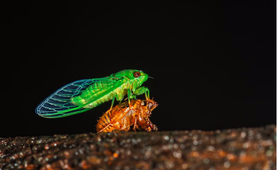 1727484433736264.png image.png