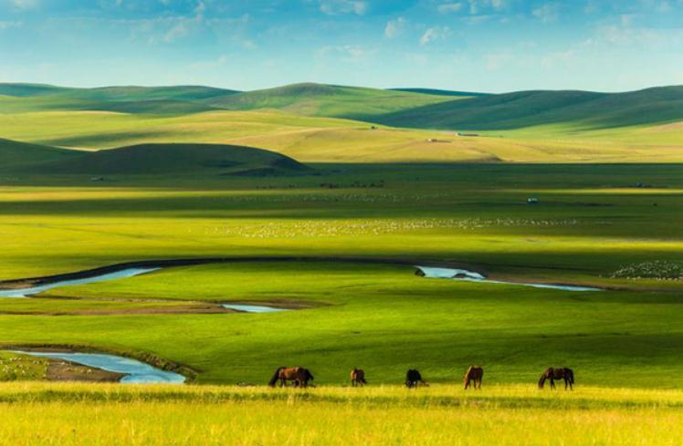 1729479065796523.jpeg 27f82fc377d57d43d0dc984c7a576ee6.jpeg