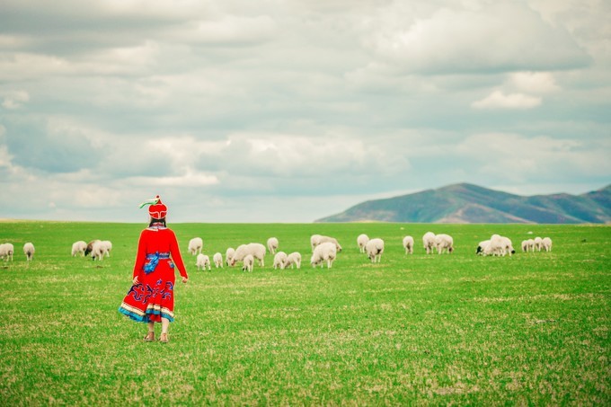 1729479252659741.jpg a3b02f93dc14b6e432aae1d53df52610.jpg