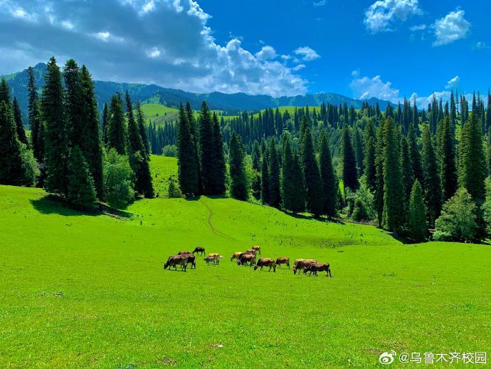 1729479287507126.jpg 1729479287507126.jpg